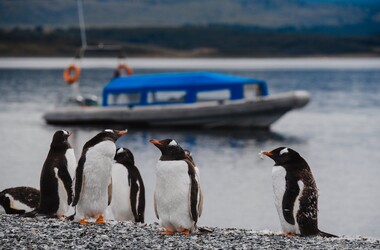 Descubriendo el Canal Beagle